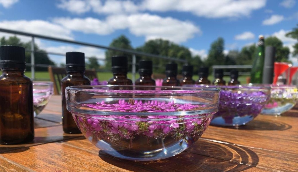 Créér ses fleurs de Bach ou élixirs floraux avec les méthodes énergétiques