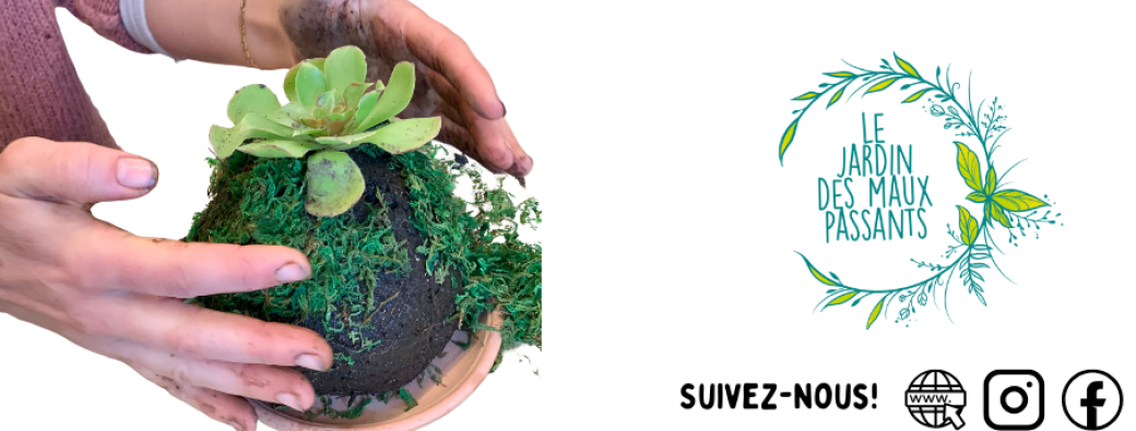 Créer votre Kokedama