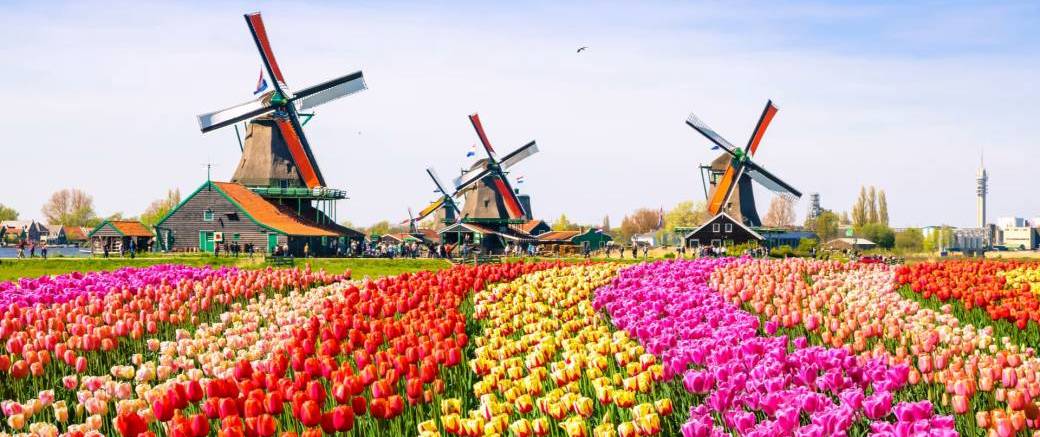 Croisière FÊTE DES TULIPES en pension complète : Amsterdam, Rotterdam & Anvers | 11-16 avril