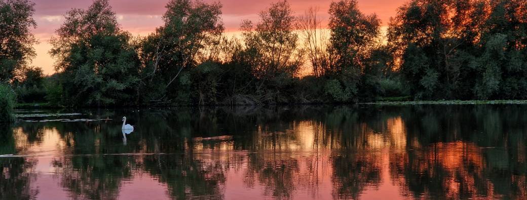 CROISIERE NOCTURNE | Ô Marais à Clairmarais