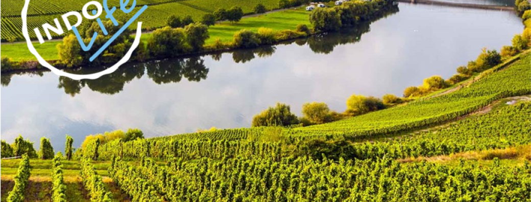 Croisière sur la Moselle
