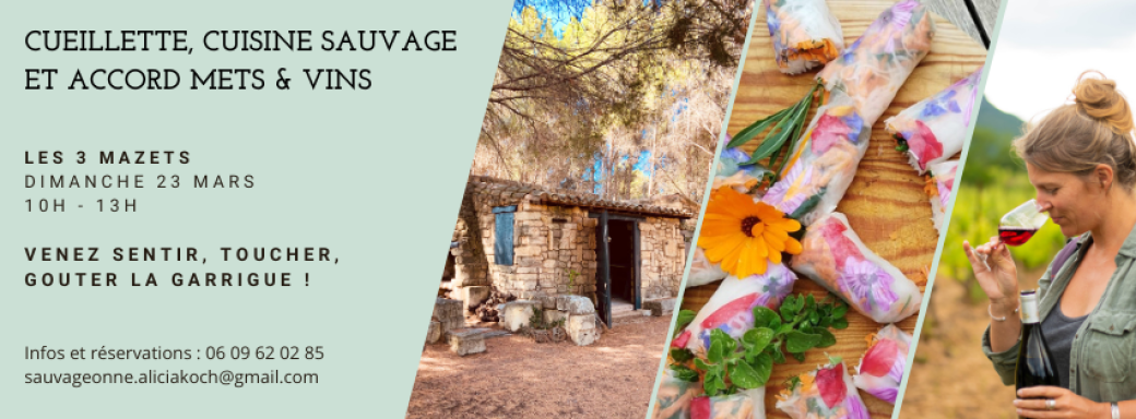 Cueillette, cuisine sauvage et accord mets & vins vivants ! 