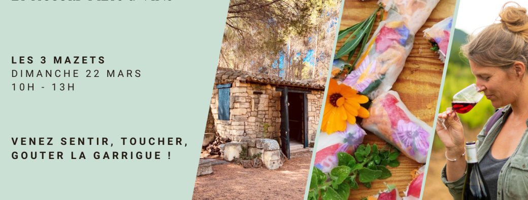 Cueillette, cuisine sauvage et accord mets & vins vivants ! 