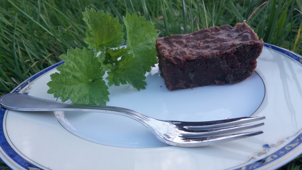 Cueillette & Cuisine Sauvage