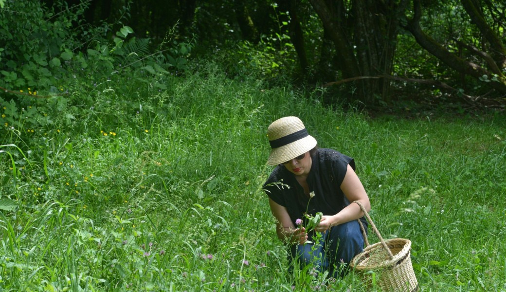 Cueillette sauvage et cuisine de saison