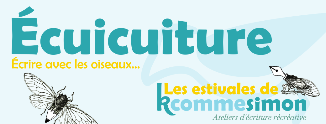 Écuicuiture : de tous les noms d'oiseaux ! (adultes)