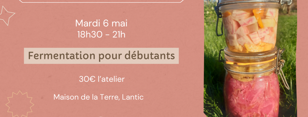 Cuisine Végé : Fermentation pour débutant