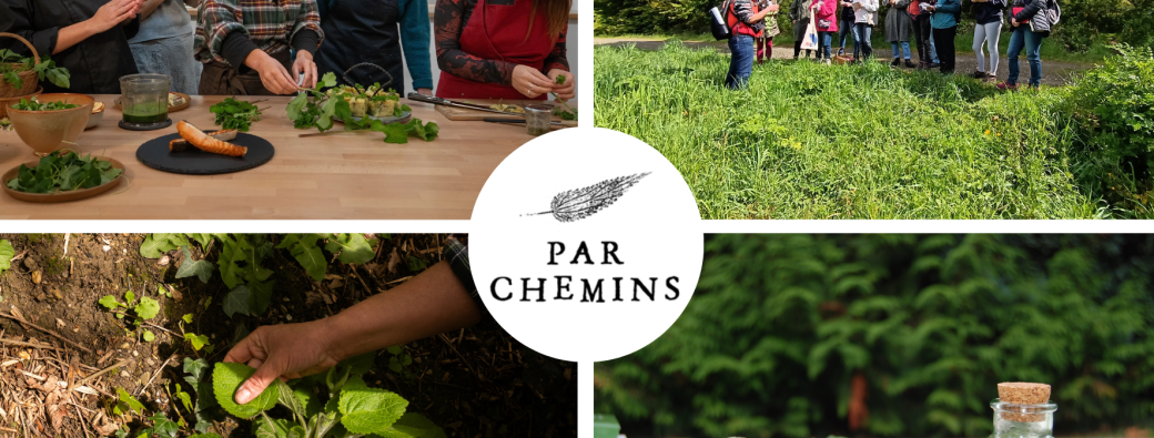 Cuisiner des bouchées apéritives aux plantes sauvages comestibles (Rennes)