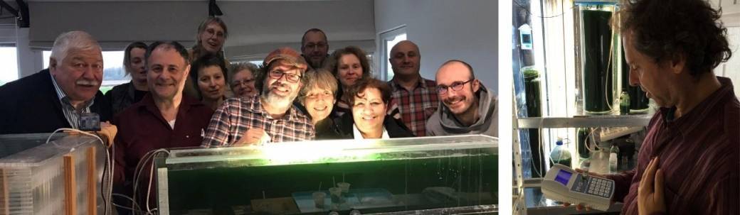Cultivez votre propre spiruline