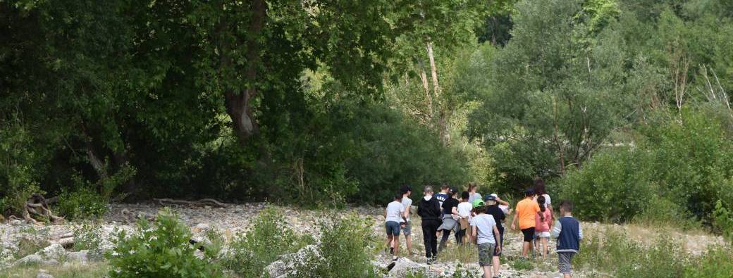 Les p’tits curieux au bord du fleuve