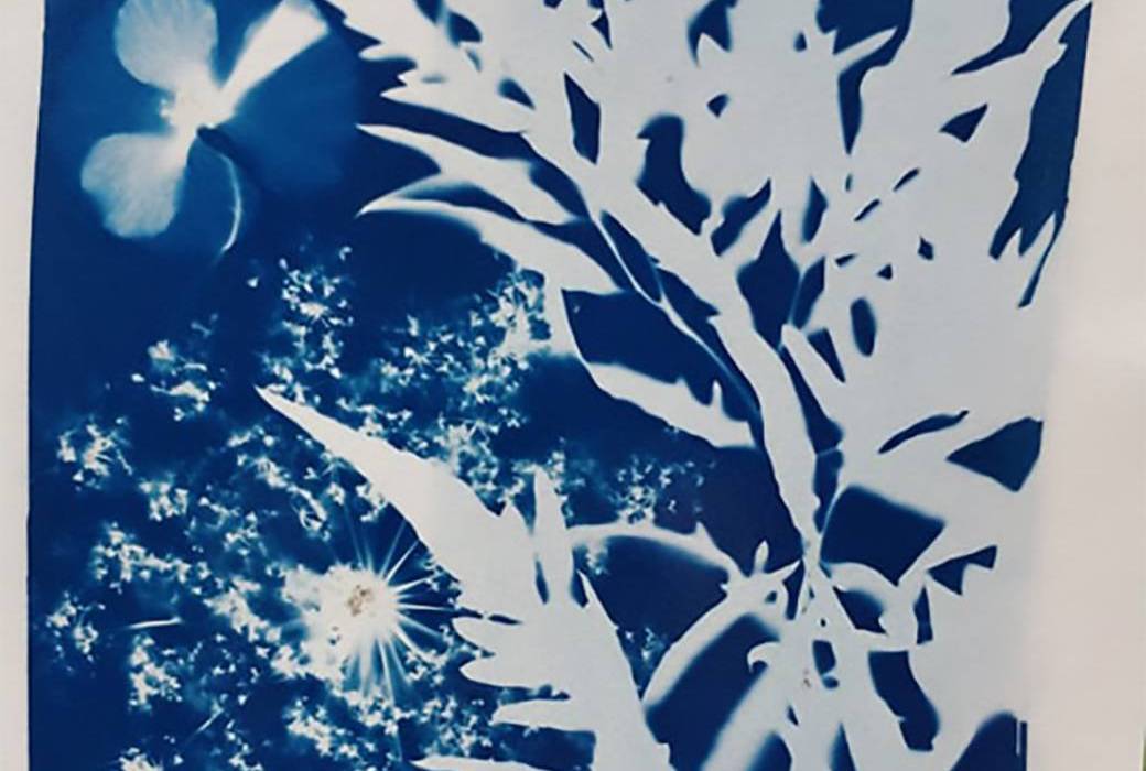 Cyanotype 2022-2023 Cyanotype 2022-2023