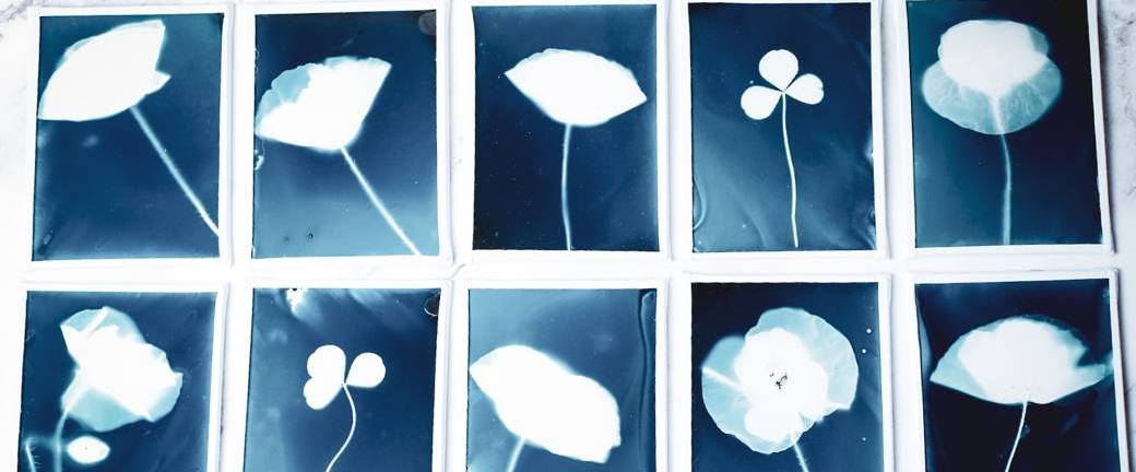Cyanotype sur verre