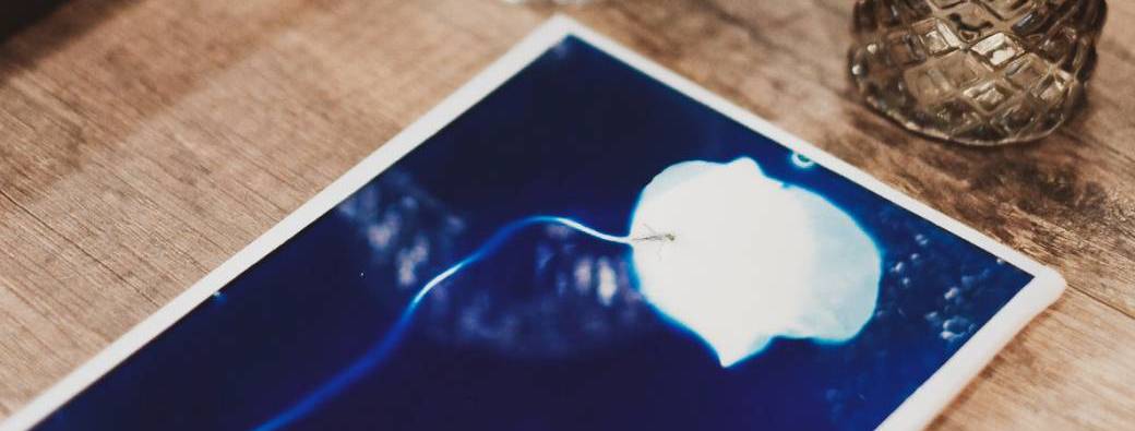Cyanotype sur verre 