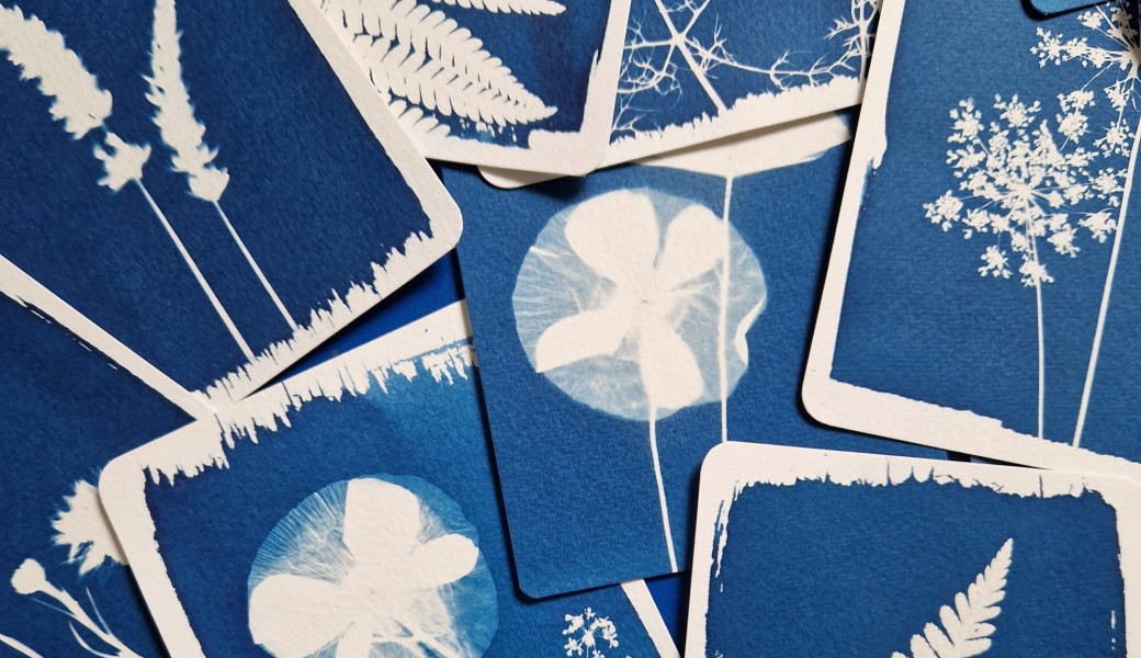 cyanotype