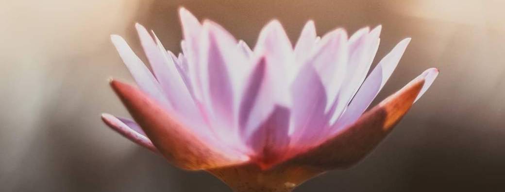 CYCLE VIBRATIONS - 6 Ateliers et Coaching ~ "Augmentez votre conscience et Activez votre nerf vague"