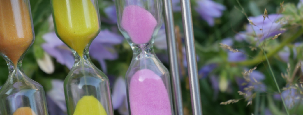 Cycle ateliers en ligne "Du temps productiviste aux temps naturels"