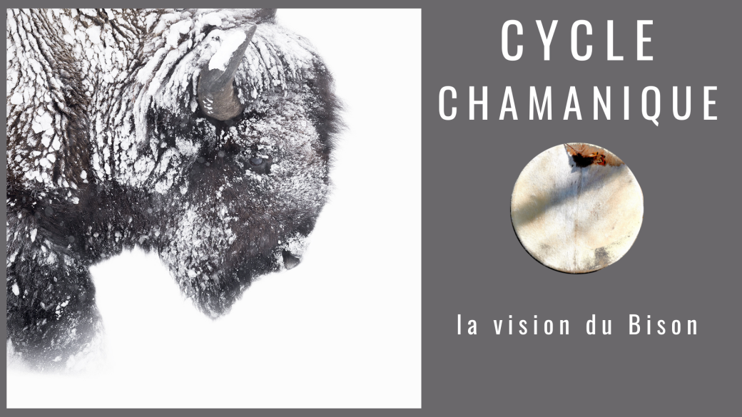Cycle Chamanique Vision du bison