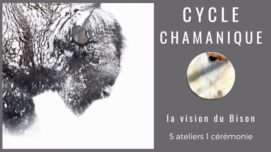 Cycle Chamanique Vision du Bison