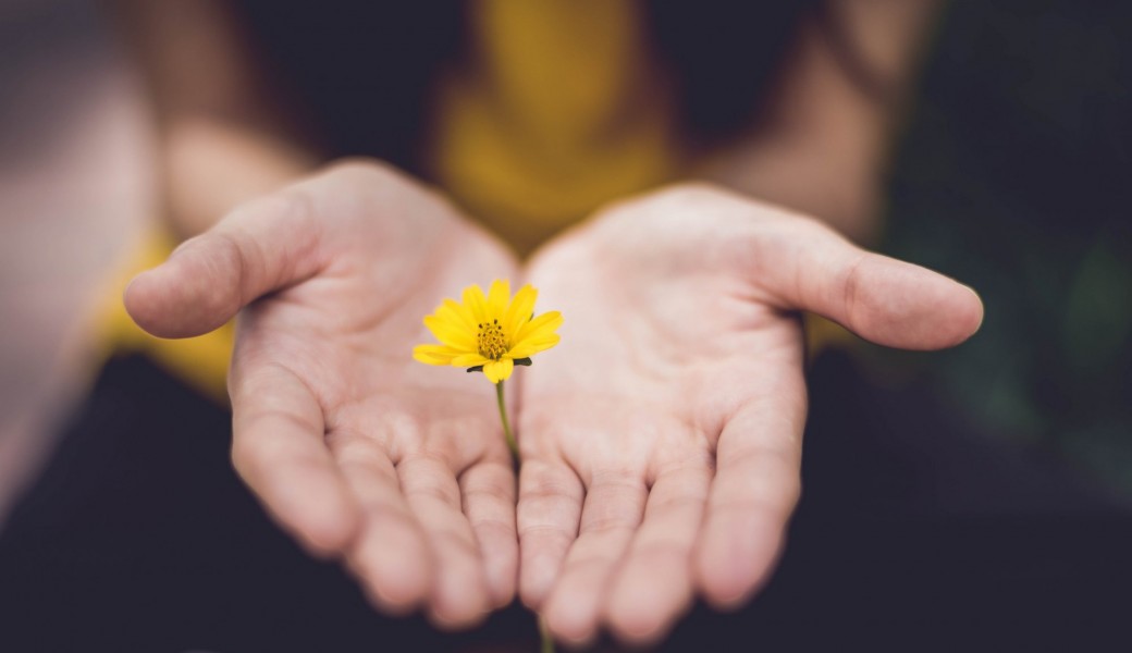 Cycle de méditation des sons primordiaux