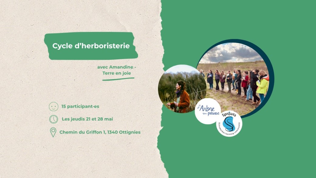 Cycle d'herboristerie avec Amandine Lefebvre