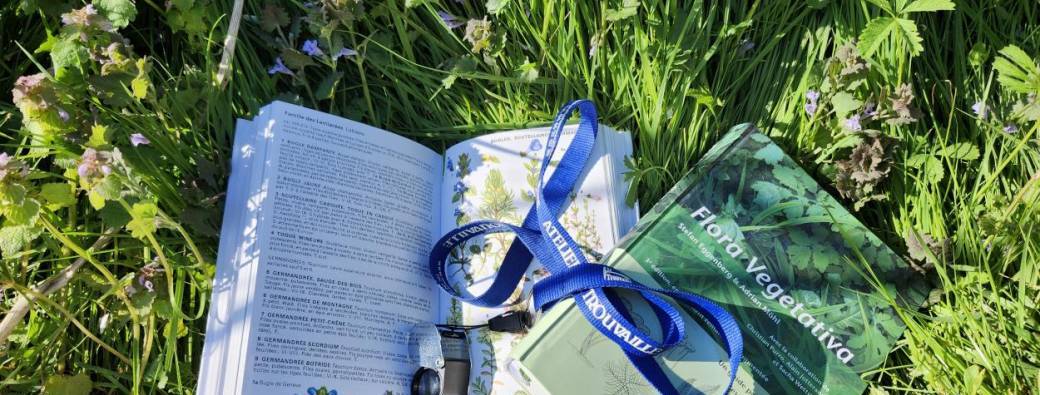 Cycle identification Botanique