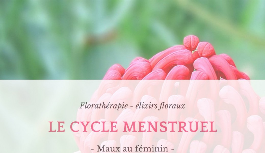 Cycle menstruel & élixirs du Bush Australien