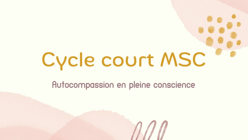 Cycle MSC court