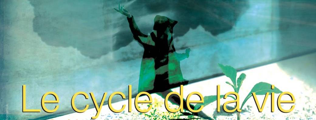 Cycles de la Vie  4 - Vieillir : le temps de l'essentiel