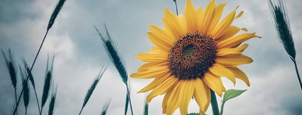 Cyclothymique : comment dépasser le mauvais temps ?(MA14032026)