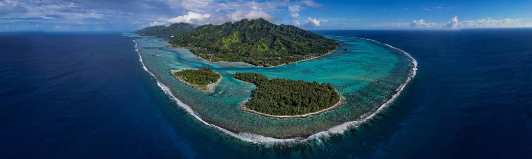 DÉCOUVERTE DE L'OCÉAN MOOREA 2024
