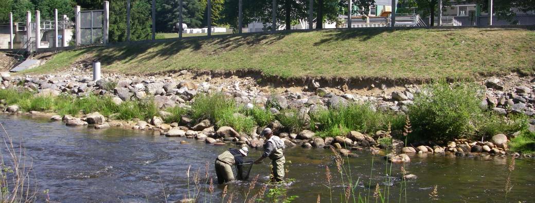 D2 ANCE ET DORE 13 & 14 JUIN 2026