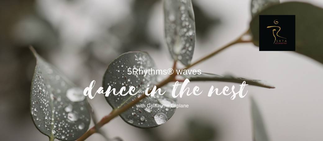 Dance in the nest - February 2021