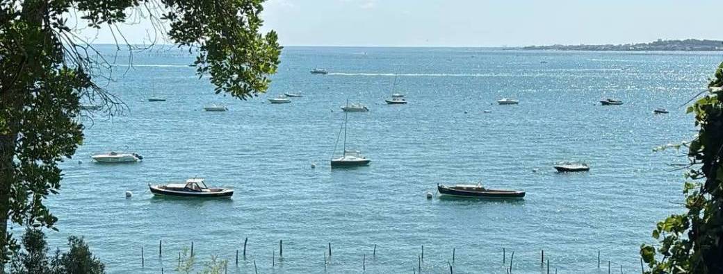 Dance party au Ferret ????????