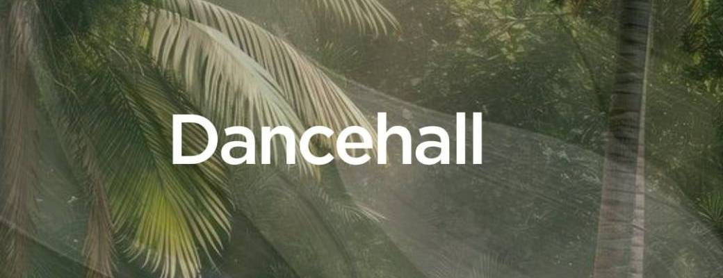 Dancehall adultes - Jeudi de 20h30 à 22h00