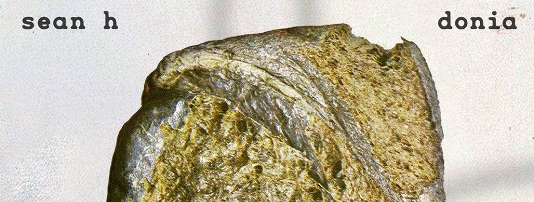 Danight invites Sean H & Donia 