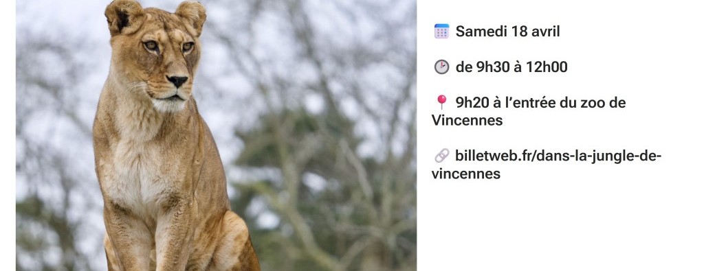 Dans la jungle de Vincennes