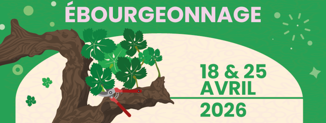 Dans la peau d’un vigneron