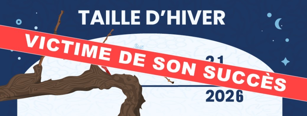 Dans la peau d'un vigneron 