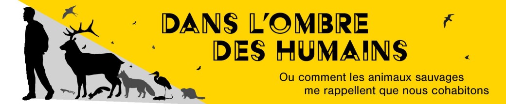 Dans l'ombre des humains 