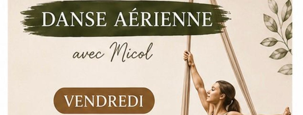 Danse Aérienne Ados/Adultes