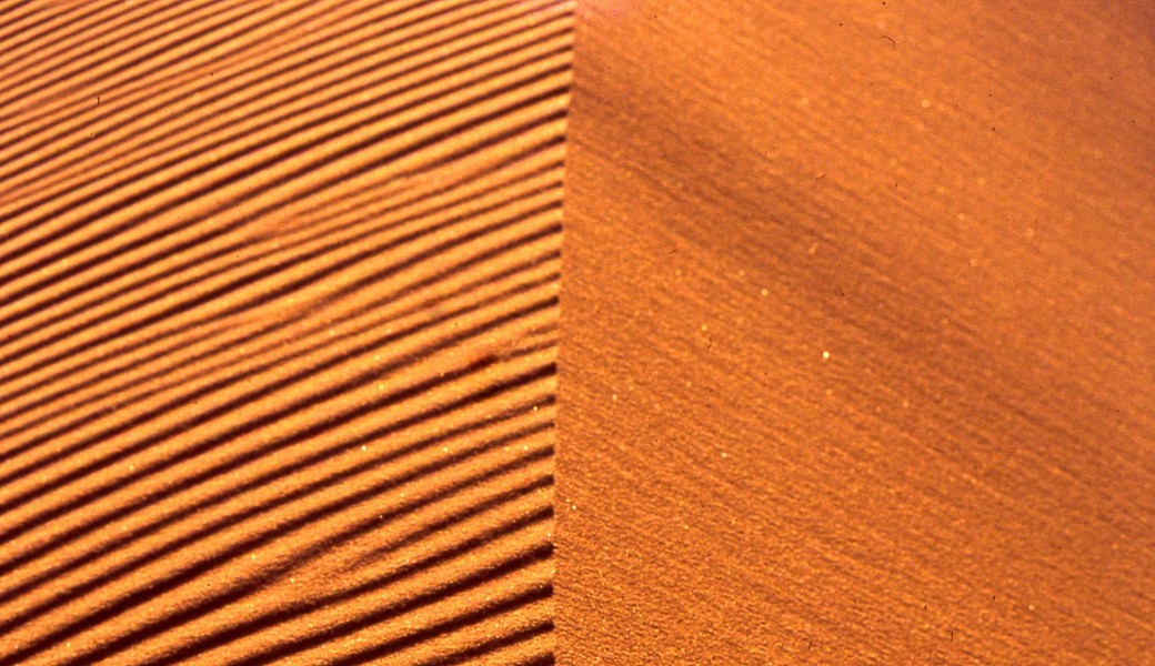 Danse & Breathwork - ÉCLORE