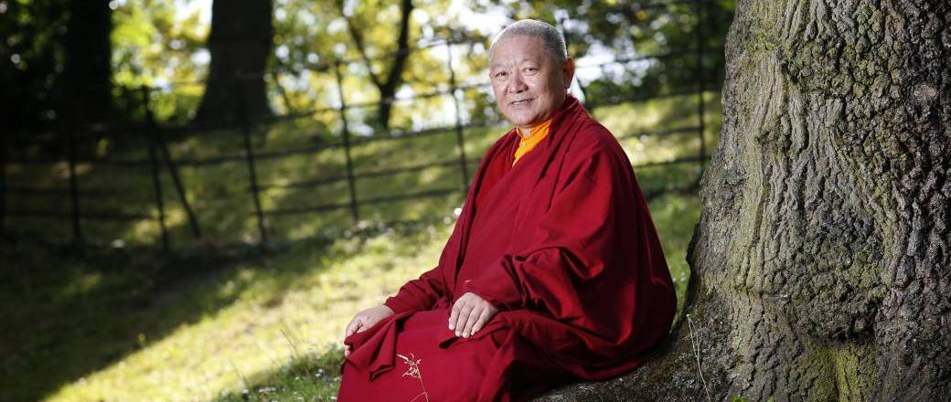 Download Buddha leben HD