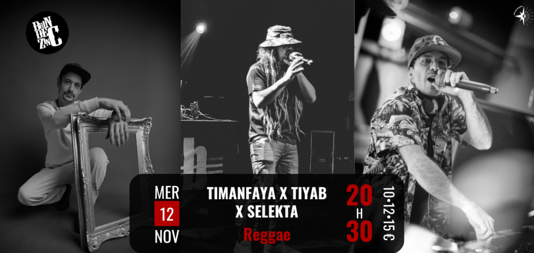  TimanFaya x TiYab x Selekta (reggae)