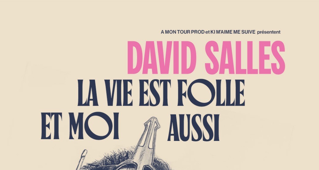 David Salles " La vie est folle et moi aussi "