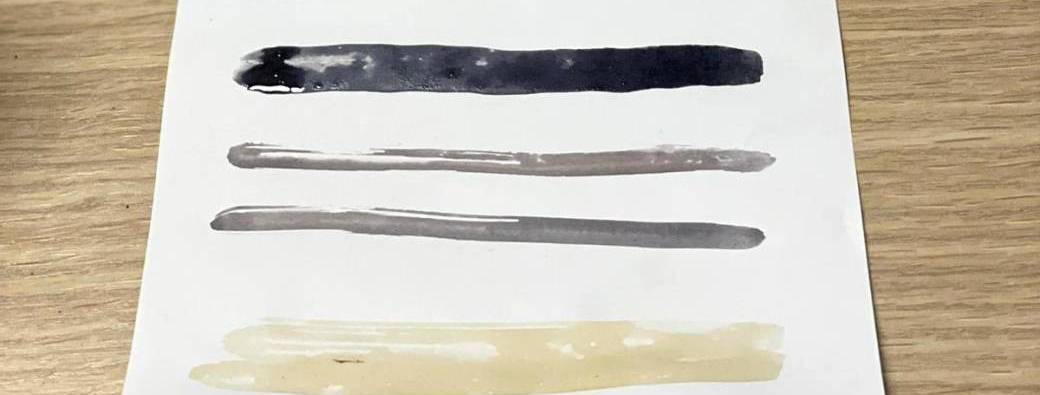 Atelier : De sève et d'encre