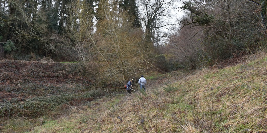 Débroussaillage hivernal du coteau de la Valmière - 31/01/2026