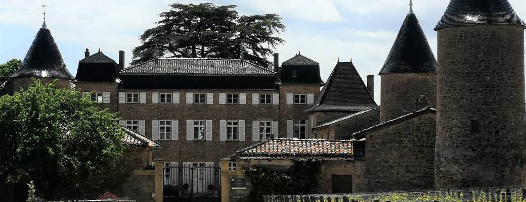 Découverte de Chasselas