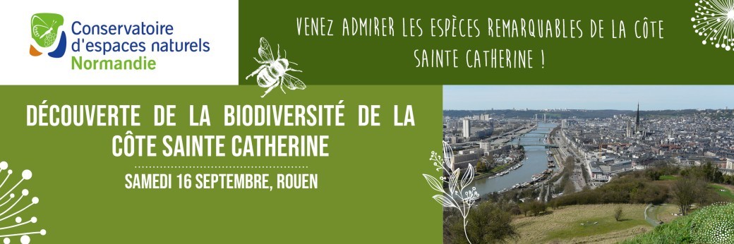 Découverte de la biodiversité de la Côte-Sainte-Catherine