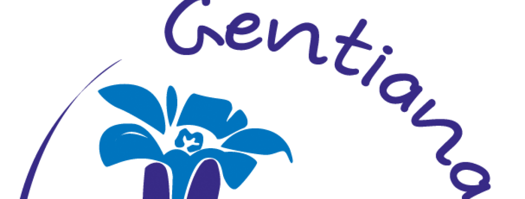 Découverte de la flore du parc Hubert Dubedout !