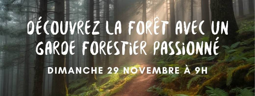 Découverte de la forêt malonnoise #2